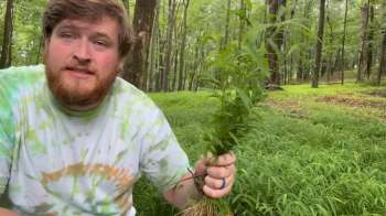 A man in a tie-dye shirt holds a green plant while surrounded by lush greenery in a forest.