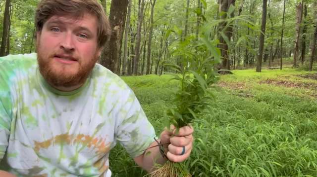 A man in a tie-dye shirt holds a green plant while surrounded by lush greenery in a forest.