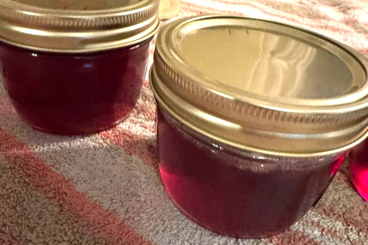 Two jars of jelly with metal lids.