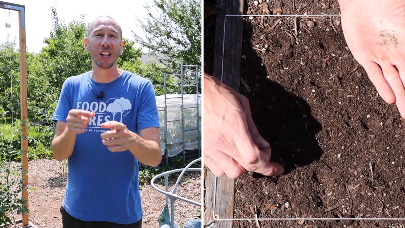 A gardener demonstrates planting seeds in soil while explaining techniques in a sunny garden.