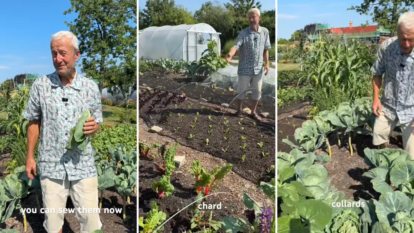 A gardener showcasing leafy greens.