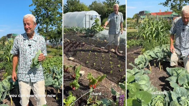 A gardener showcasing leafy greens.