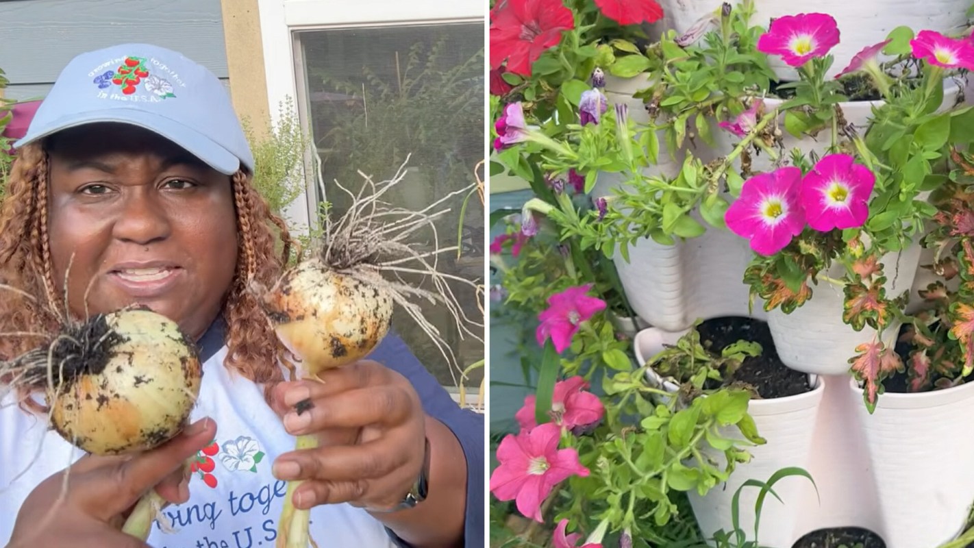 A woman holds two freshly harvested onions, while vibrant pink petunias bloom in vertical planters nearby.