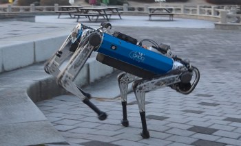 A Kaist Hound.