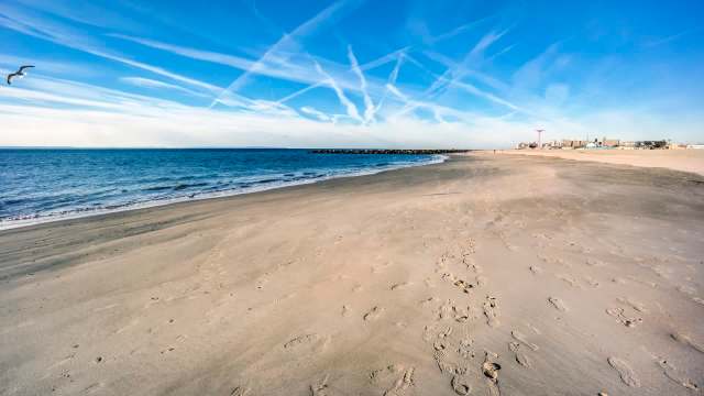 A sandy beach.