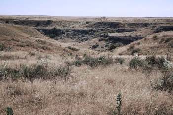 A dry grassland with rolling hills and sparse vegetation.
