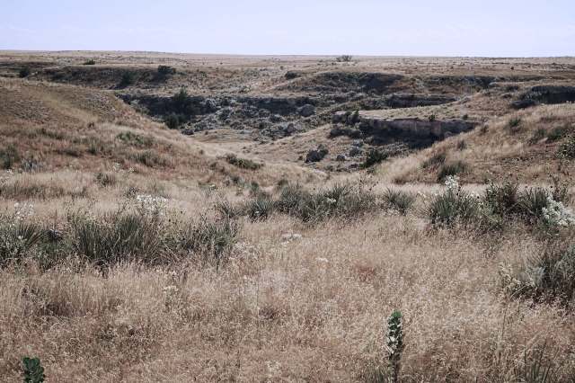 A dry grassland with rolling hills and sparse vegetation.