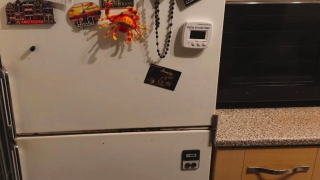 A white refrigerator adorned with various magnets and a digital kitchen timer on the side, set against a kitchen backdrop.