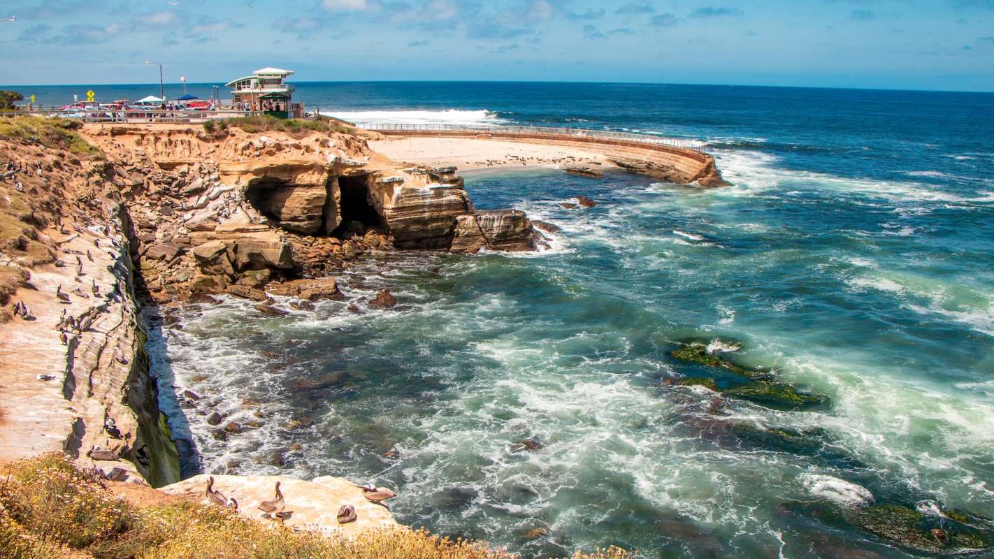 La Jolla Children's Pool adjacent to a cliffside in San Diego.