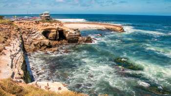 La Jolla Children's Pool adjacent to a cliffside in San Diego.
