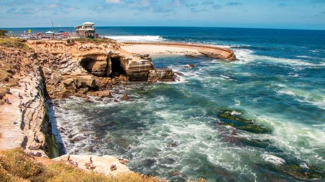 La Jolla Children's Pool adjacent to a cliffside in San Diego.