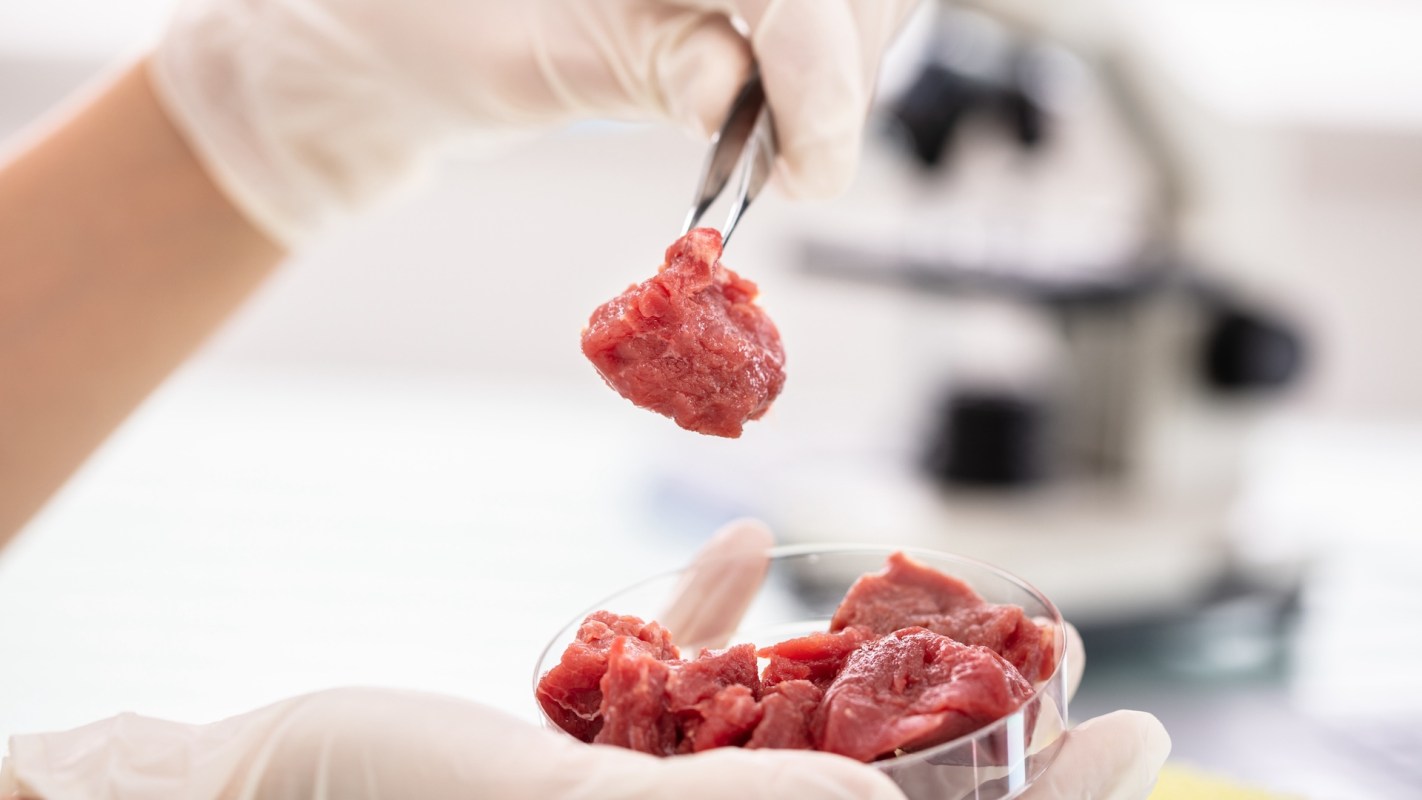 A gloved hand holds a piece of raw meat above a dish containing more raw meat, with a microscope in the background.