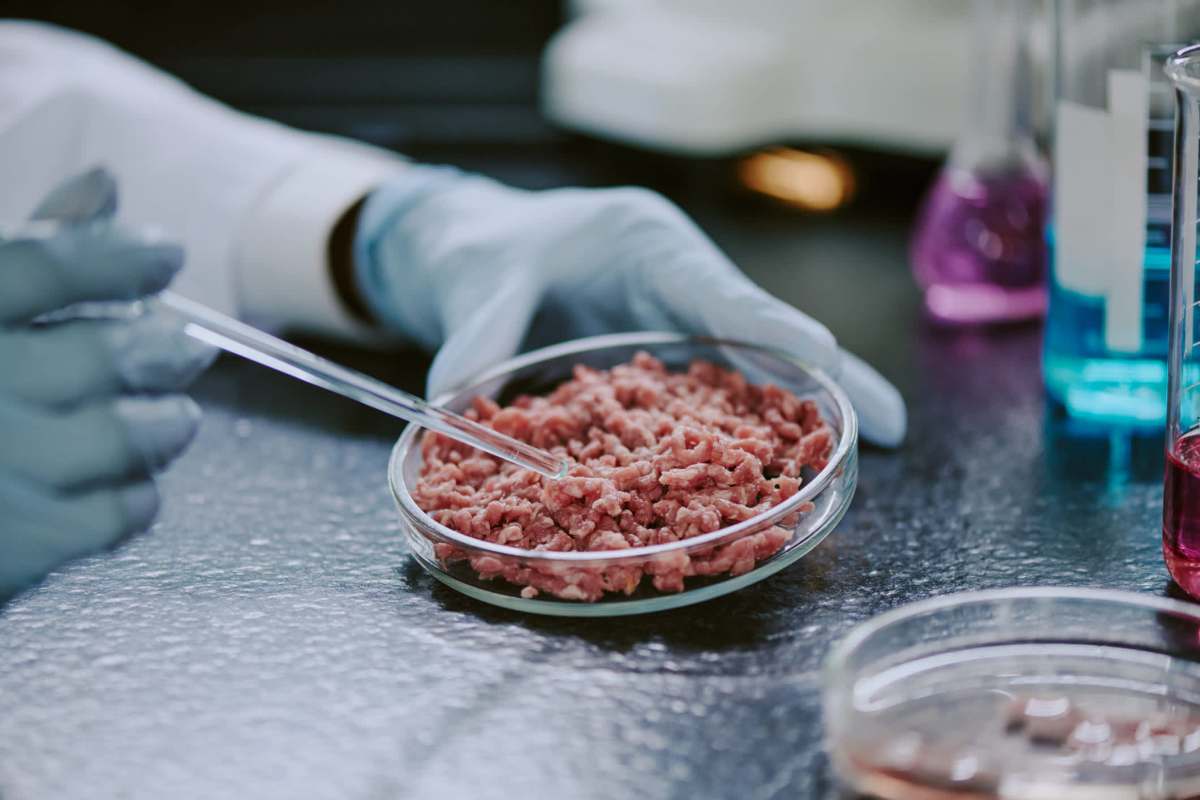 A gloved hand using a pipette on lab-grown meat.