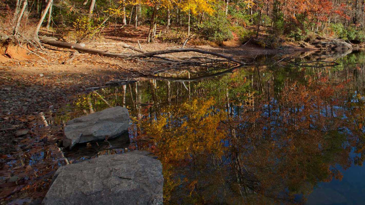 A tranquil lakeside scene with autumn foliage reflected in calm water and scattered rocks along the shore.