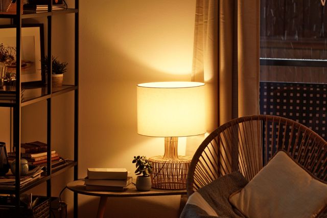 A living space featuring a lamp, books, and a plant beside a chair.
