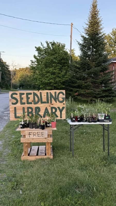 A wooden sign on the side of a road advertising a seedling library for free.
