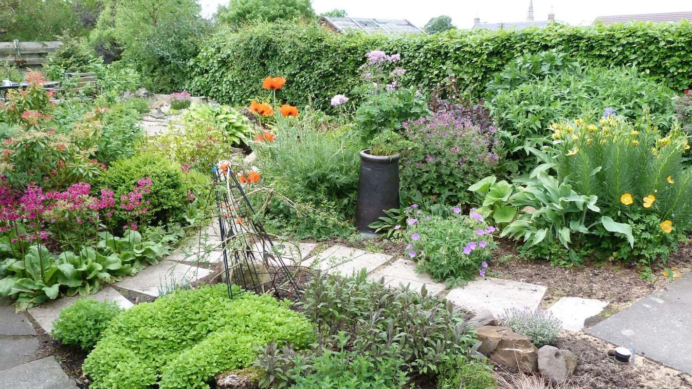 A vibrant garden filled with various flowers, greenery, and a stone pathway.