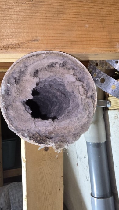 A dryer vent clogged with lint.