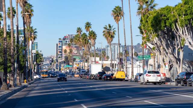 A busy urban street lined with palm trees, featuring various cars and commercial buildings under a clear blue sky.