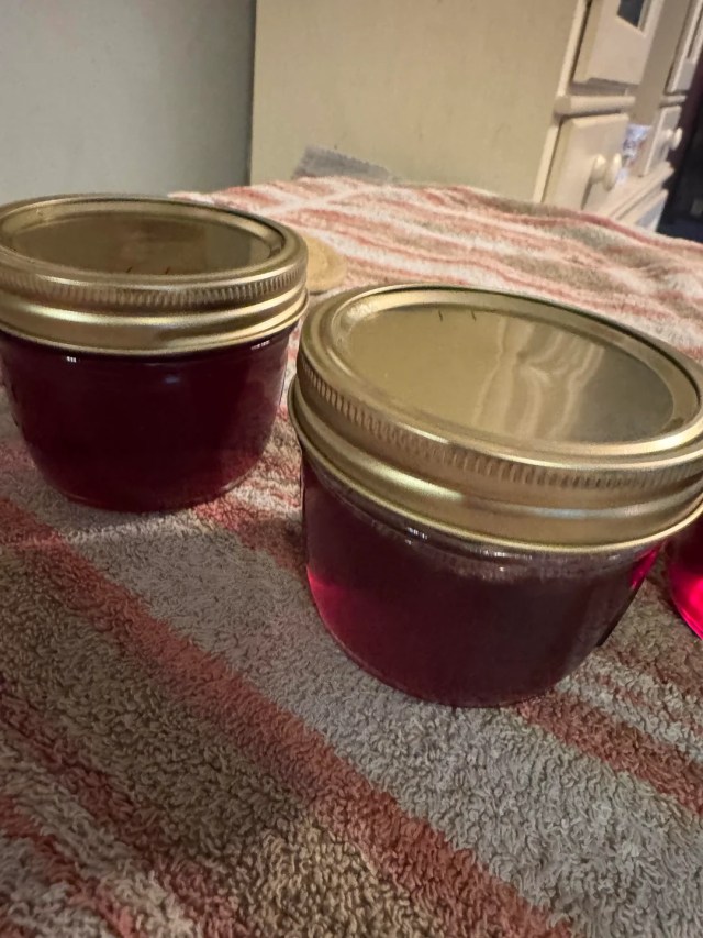 Two jars of jelly with metal lids.