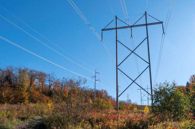 Pylons carrying electric wires.