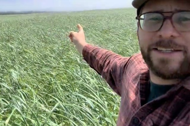 A man in a flannel shirt gestures toward a lush, green field under a bright sky.