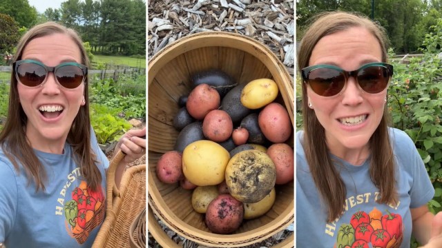 A person holding a basket of potatoes.