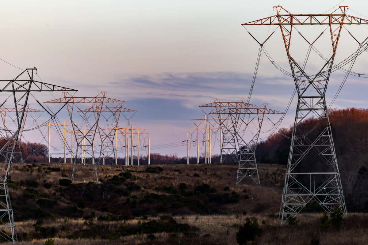 Rows of transmission lines.