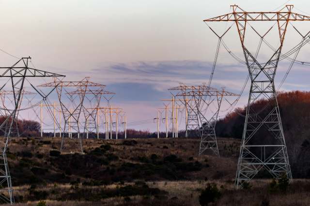 Rows of transmission lines.