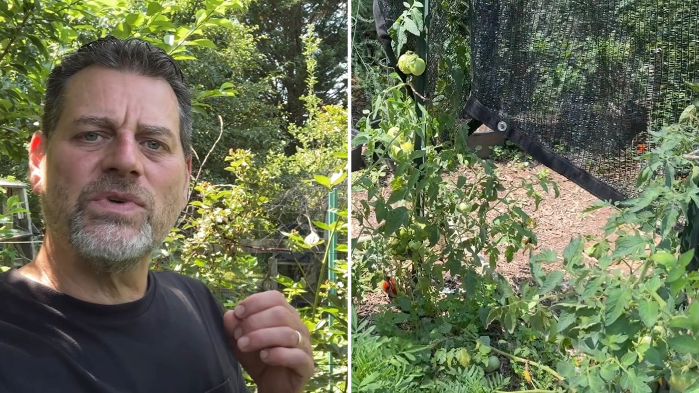 Gary Pilarchik discussing a garden with green tomatoes.