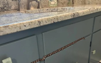 A small snake is curled along the edge of a blue cabinet under a granite countertop with a sink.