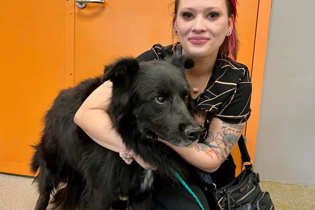 A person hugs a large black dog.