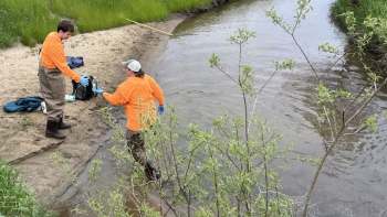 Two people in orange shirts conduct sampling by a waterway, surrounded by greenery and sandy banks.