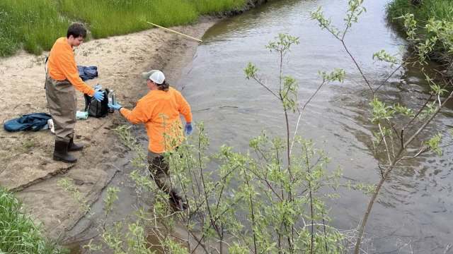 Two people in orange shirts conduct sampling by a waterway, surrounded by greenery and sandy banks.