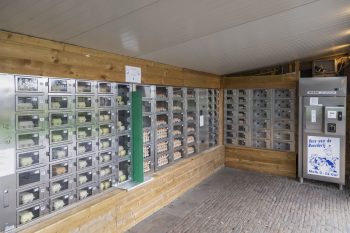 A vending machine area featuring dispensers for eggs and dairy products in a wooden structure.