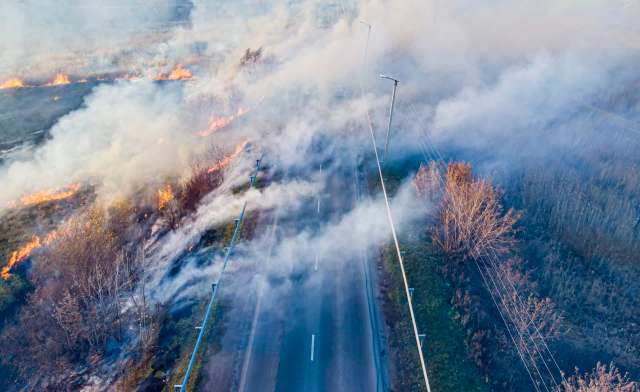 A wildfire burning near a smoke-covered road.