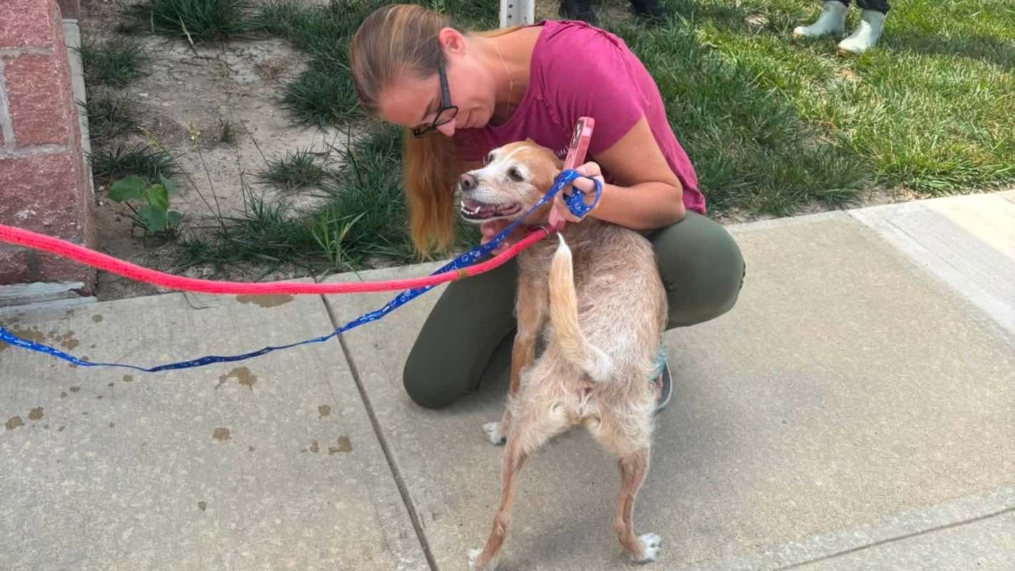 A woman kneels on a sidewalk, interacting with a small dog on a leash.