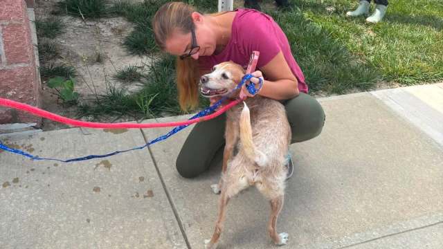 A woman kneels on a sidewalk, interacting with a small dog on a leash.