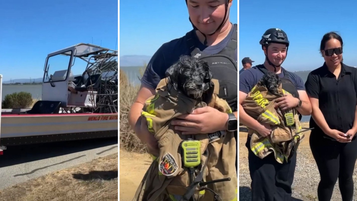 A firefighter holding a dog wrapped in turnout gear.