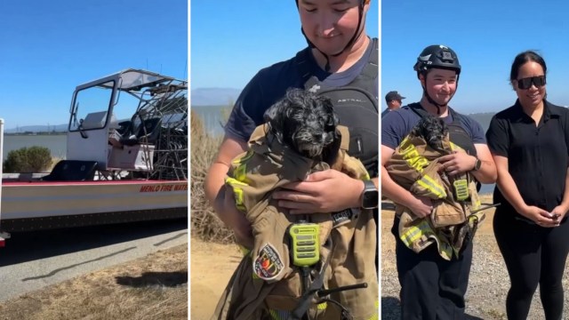 A firefighter holding a dog wrapped in turnout gear.