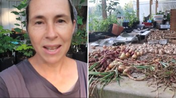 A woman speaks in a garden space with potted plants and a table displaying assorted harvested onions and garlic.