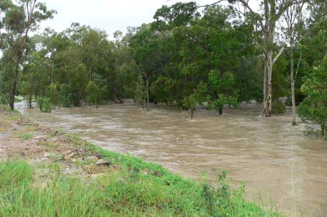 Flooded landscape with trees partially submerged in brown water.