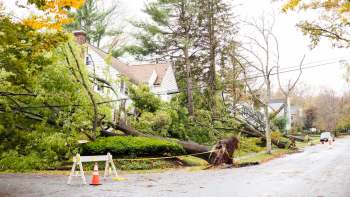 Fallen trees blocking sidewalk access in a residential neighborhood.