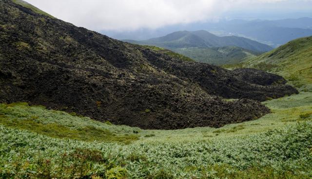 Alpine plants on Mount Komagatake.