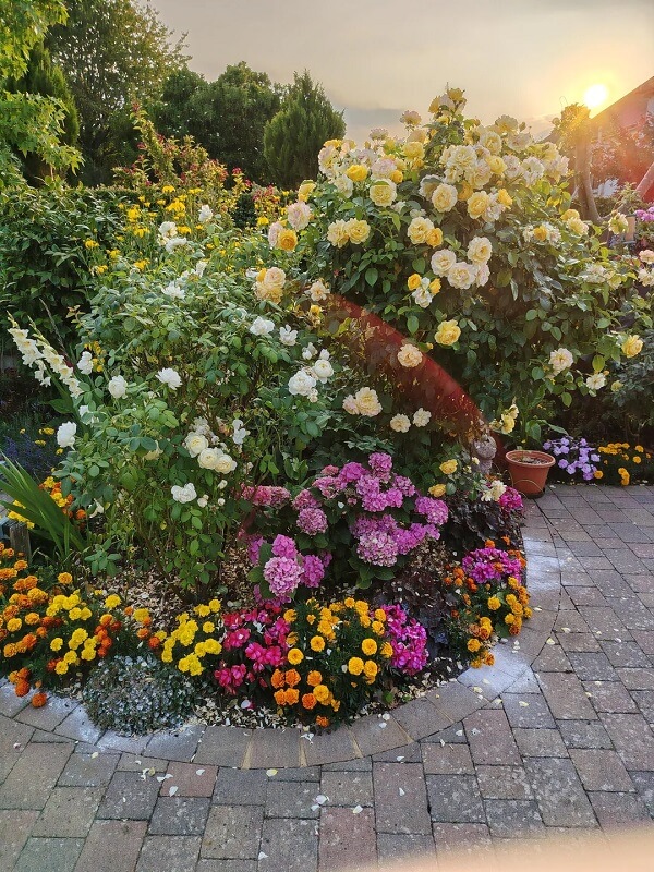 A variety of flowers by a brick path.