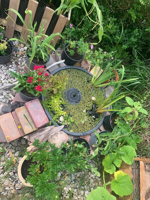 A garden featuring potted plants and a small pond.