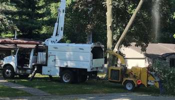 A tree service crew operating a chipper in a residential yard.