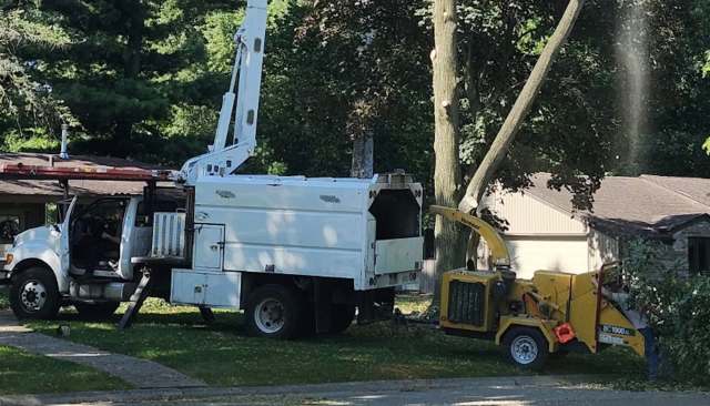 A tree service crew operating a chipper in a residential yard.
