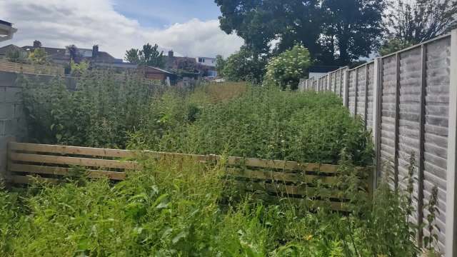 A densely overgrown garden with tall nettles and a wooden fence in the background under a partly cloudy sky.