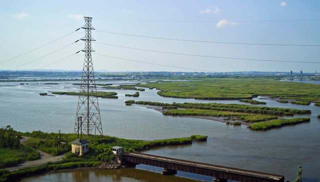 A power line tower in a marshland.